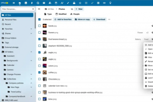 Office EU : un concurrent pour Google et Microsoft, vraiment ?