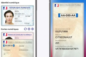 La fraude aux cartes grises favorisée à cause d'un système IT obsolète