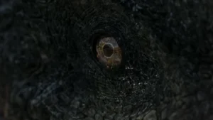 Cette série Netflix produite par Spielberg va cartonner : elle plaira aux fans de Jurassic Park