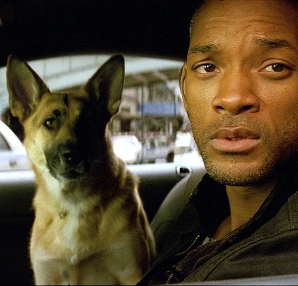 "Ils se sont sentis floués" Près de 20 ans après la sortie d'un de ses succès, Will Smith explique que la fin originale a été modifiée à cause des spectateurs