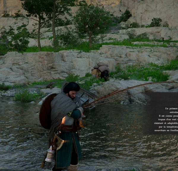 Tanche Crimson Desert : où pêcher ce poisson pour la requête d'Annabella ?