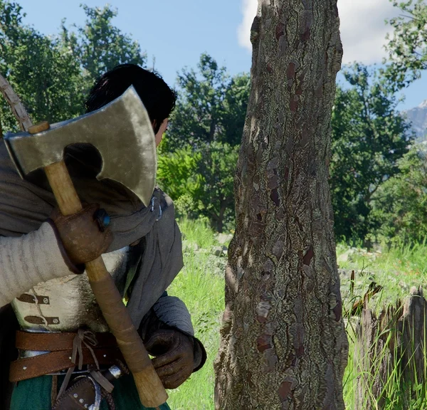 Bois Crimson Desert : comment utiliser la hache de bûcheron pour couper des arbres ?