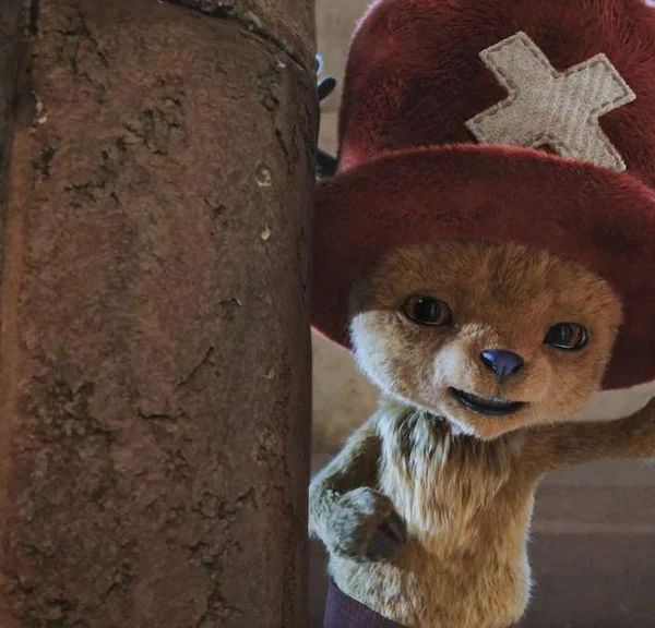 Eiichiro Oda est tellement minutieux avec One Piece qu'il a même prévu jusqu'où devrait aller l'adaptation en série live-action de Netflix