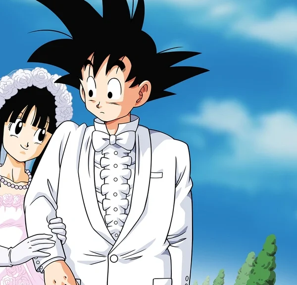 Goku ne devait pas se marier avec Chichi mais… ça n'avait aucun sens !
