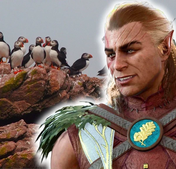 Bien loin de suivre le déroulement classique, ce fan de Baldur's Gate 3 a transformé sa session de jeu… en promenade ornithologique !