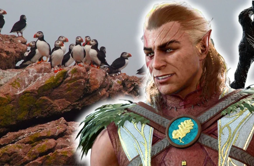 Bien loin de suivre le déroulement classique, ce fan de Baldur's Gate 3 a transformé sa session de jeu… en promenade ornithologique !