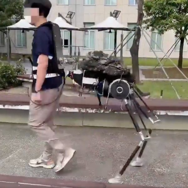 Pourquoi porter un sac à dos quand ce robot peut vous transformer en mulet ?