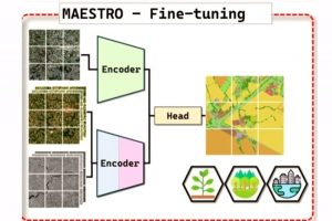 L'IGN développe un modèle IA pour observer les forêts françaises