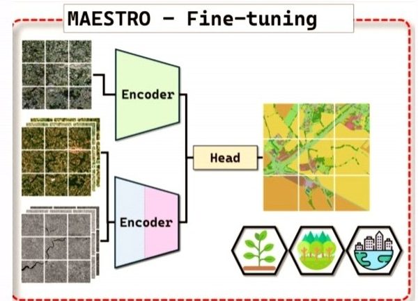 L'IGN développe un modèle IA pour observer les forêts françaises
