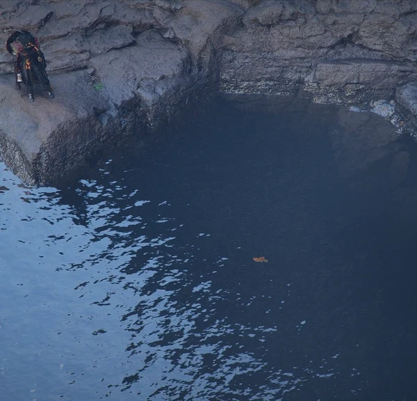 Tanche dorée Crimson Desert : où trouver cet animal légendaire ?