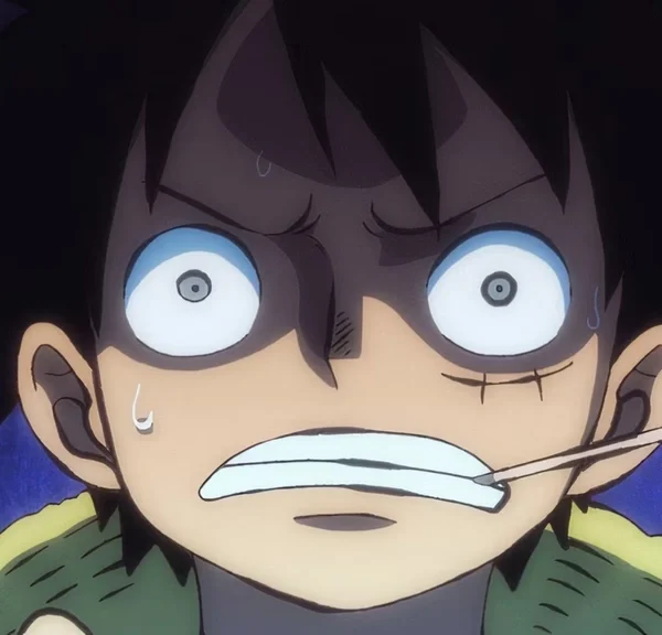 "J’ai de gros doutes” Les fans de One Piece sont inquiets, le studio chargé du remake se retrouve dans la tourmente