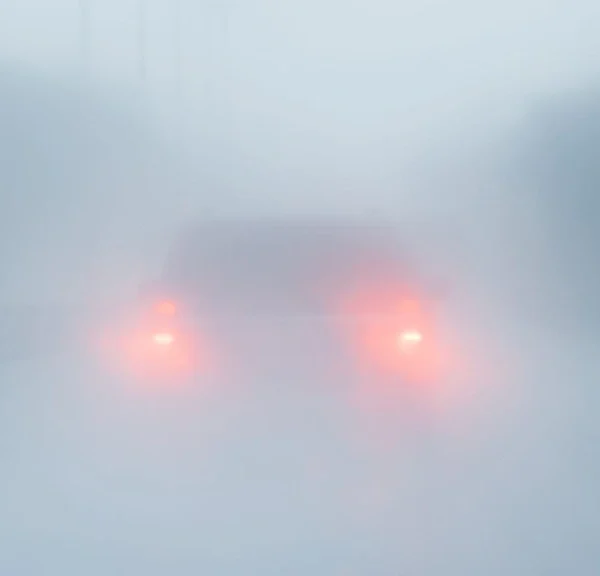 Dans ce jeu de survie noté 83%, votre seul compagnon est une voiture cabossée : il est à moitié prix sur Steam