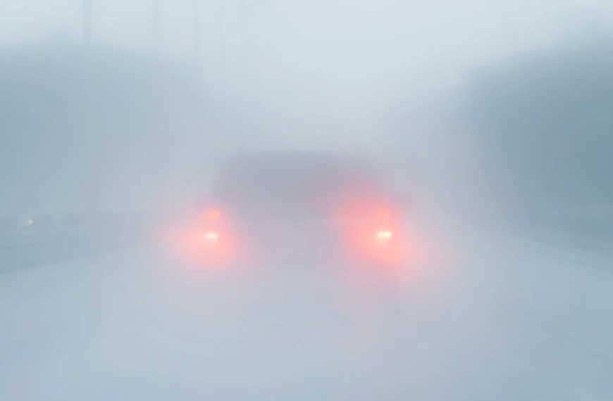 Dans ce jeu de survie noté 83%, votre seul compagnon est une voiture cabossée : il est à moitié prix sur Steam