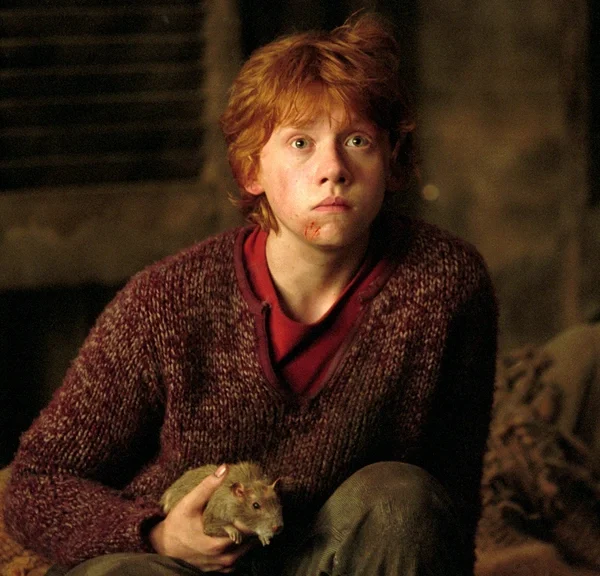 On a demandé aux acteurs de la saga Harry Potter d'écrire une rédaction pour Le prisonnier d'Azkaban, mais Rupert Grint n'a rien envoyé… pour des raisons personnelles !