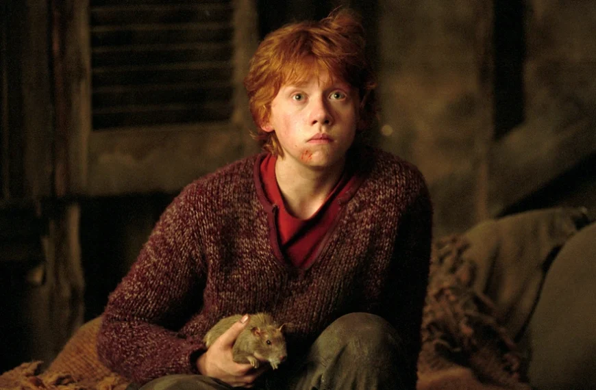 On a demandé aux acteurs de la saga Harry Potter d'écrire une rédaction pour Le prisonnier d'Azkaban, mais Rupert Grint n'a rien envoyé… pour des raisons personnelles !
