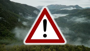 “Des ours bruns rôdaient aux alentours” : ce développeur a risqué sa vie pour son jeu