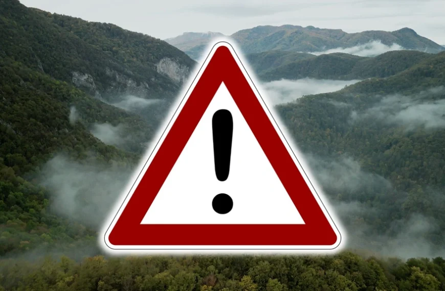 “Des ours bruns rôdaient aux alentours” : ce développeur a risqué sa vie pour son jeu