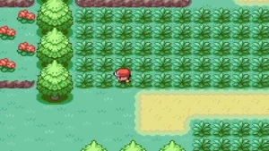 Super Bonbons Pokémon Rouge Feu : la liste complète des 15 emplacements