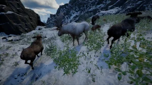 Orignal blanc Crimson Desert : où trouver l'élan blanc légendaire ?