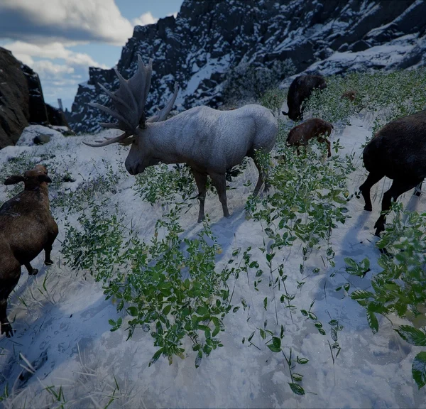 Orignal blanc Crimson Desert : où trouver l'élan blanc légendaire ?