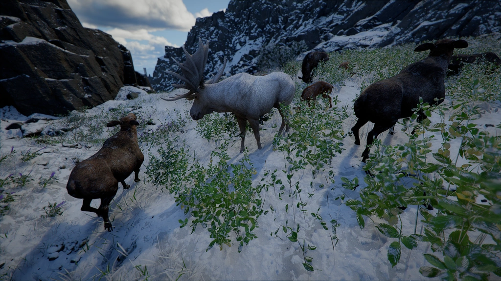 Orignal blanc Crimson Desert : où trouver l'élan blanc légendaire ?