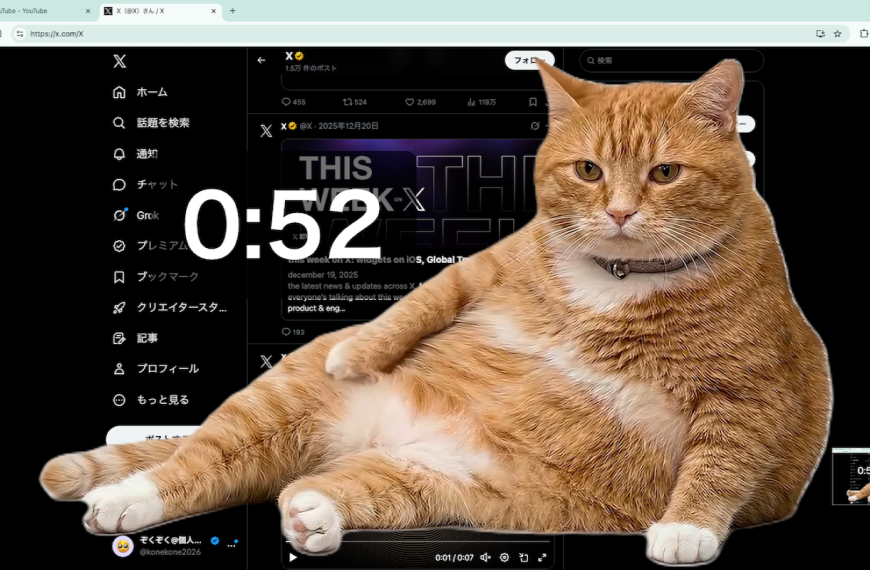 Cat Gatekeeper – Le chat qui débarque quand vous scrollez trop