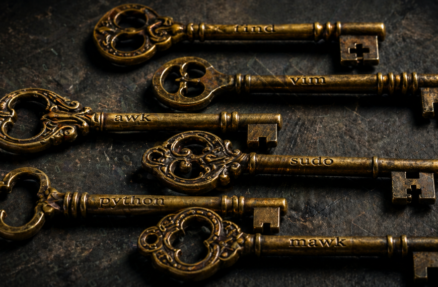 GTFOBins – 478 binaires Unix qui font tomber root