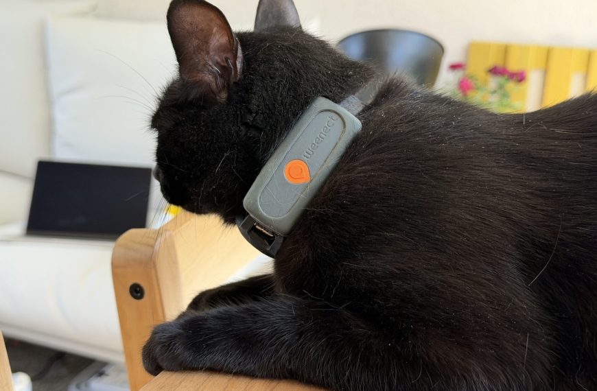 Test du Weenect Chat XS, le collier GPS qui localise mon chat au mètre près