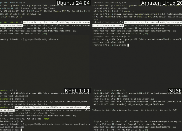 La faille Copyfail menace le monde Linux