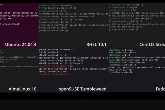 Polémique autour d'un kill switch pour le noyau Linux