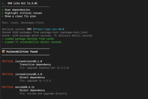 CVE Lite CLI repère les dépendances à risque