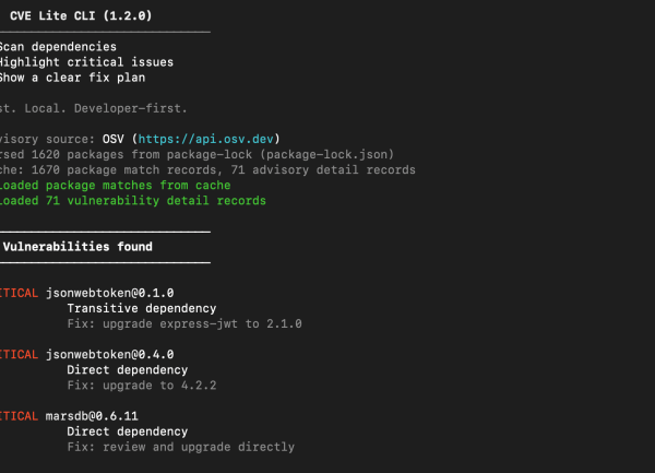 CVE Lite CLI repère les dépendances à risque