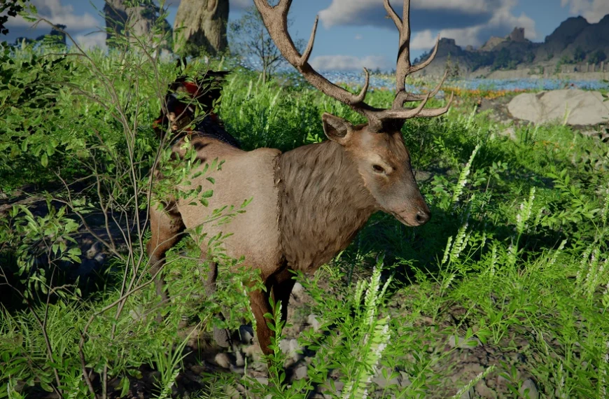 Cerf avec vigne Crimson Desert : où trouver cet animal légendaire ?