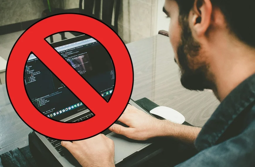 Il développe seul son jeu vidéo mais est contraint de tout stopper à cause de son éditeur