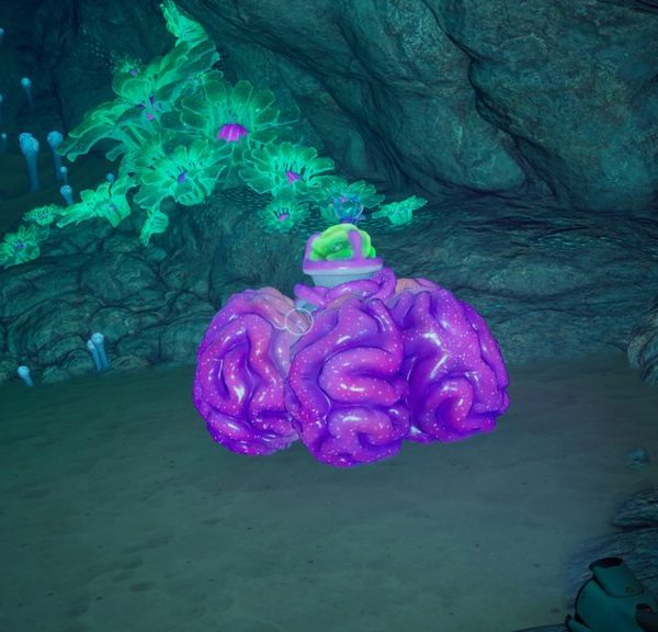 Poche de raion acide Subnautica 2 : où en trouver pour fabriquer des batteries de base ?