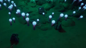 Argent Subnautica 2 : où en trouver pour fabriquer la bonbonne d’oxygène standard ?
