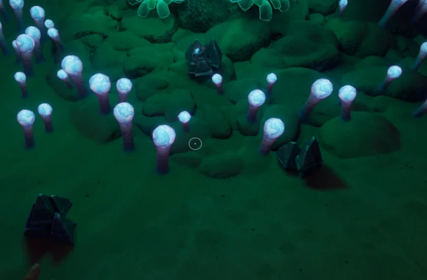 Argent Subnautica 2 : où en trouver pour fabriquer la bonbonne d’oxygène standard ?