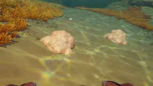Sel Subnautica 2 : où trouver cette ressource naturelle ?