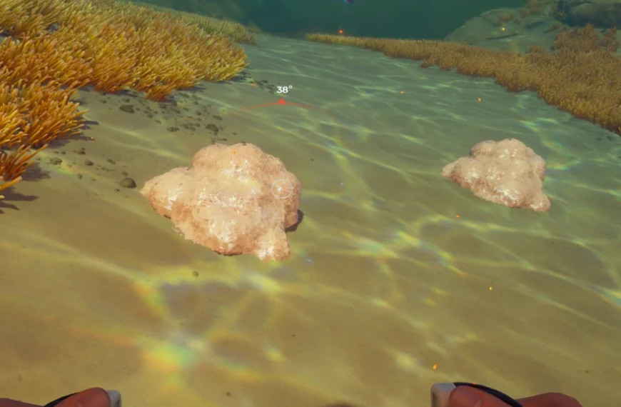 Sel Subnautica 2 : où trouver cette ressource naturelle ?