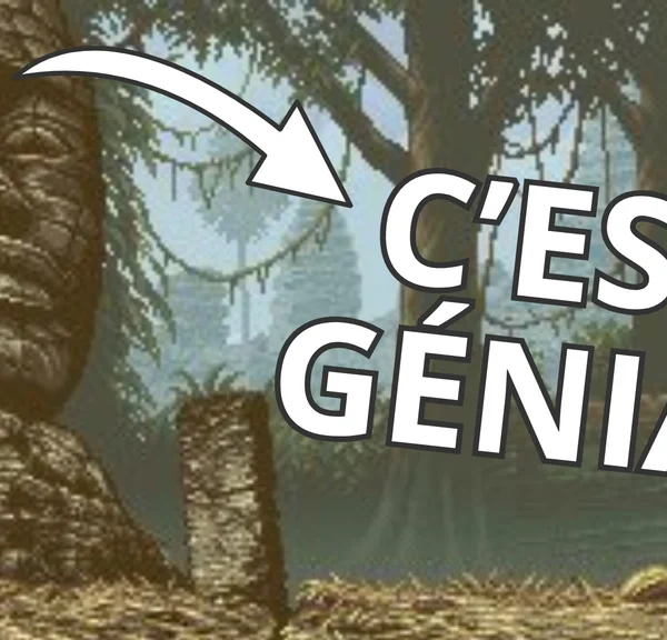 Aujourd'hui, nous fêtons les 30 ans d'une série culte du jeu vidéo que j'adore et que vous devriez découvrir