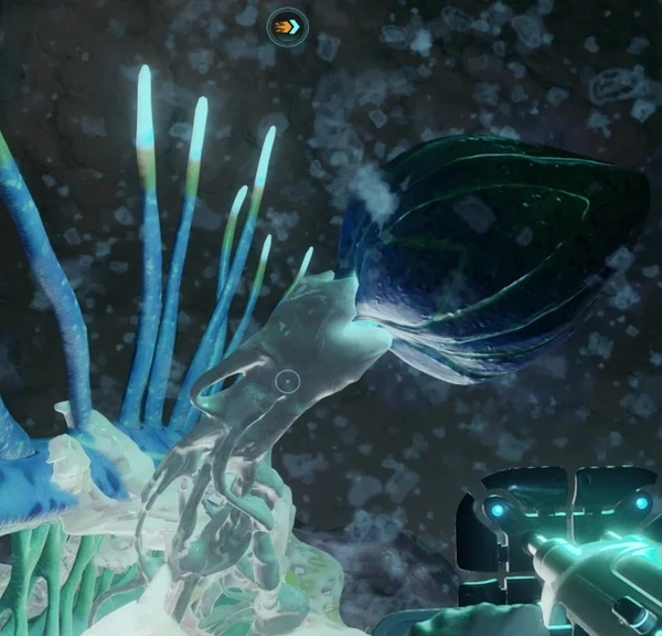 Chancre efflorescent Subnautica 2 : comment détruire les bourgeons des cténophores ailés ?