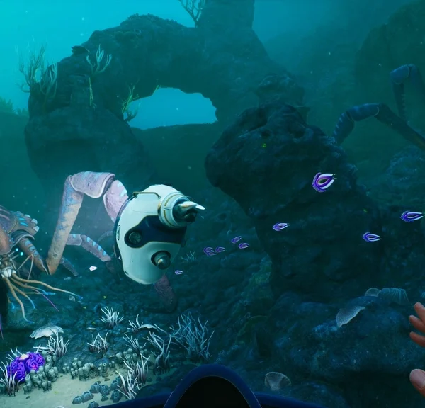 Aquarium Subnautica 2 : comment en construire un et pourquoi en installer un ?