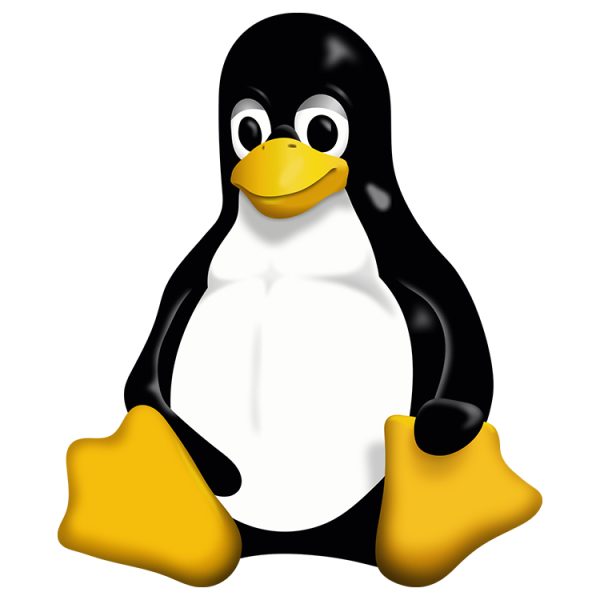 Ces outils d’IA qui cherchent des bugs dans Linux créent un problème que personne n’avait prévu