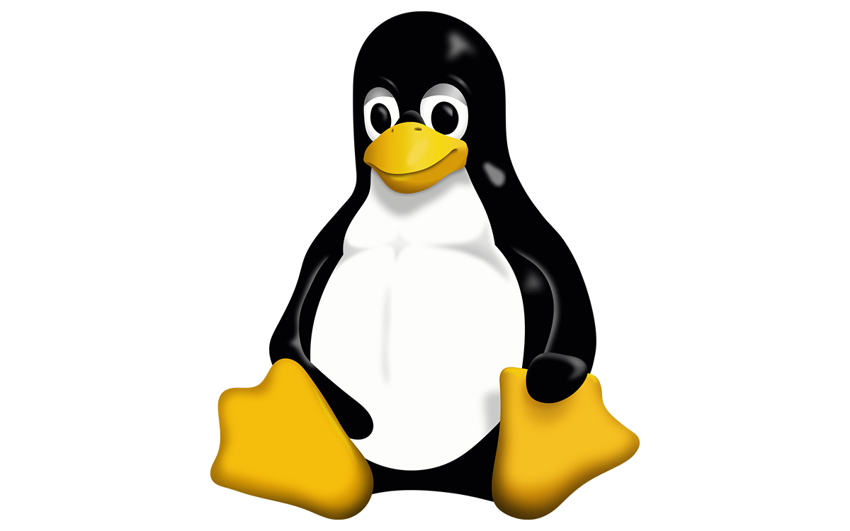 Ces outils d’IA qui cherchent des bugs dans Linux créent un problème que personne n’avait prévu