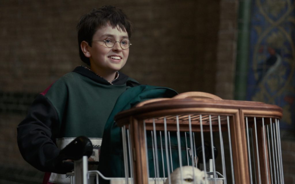 La série Harry Potter n’est pas encore sortie, mais il y a déjà une bonne nouvelle pour les fans