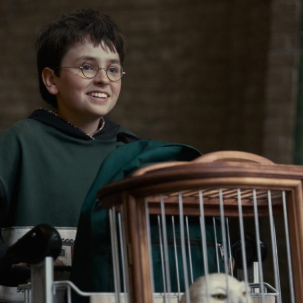 La série Harry Potter n’est pas encore sortie, mais il y a déjà une bonne nouvelle pour les fans