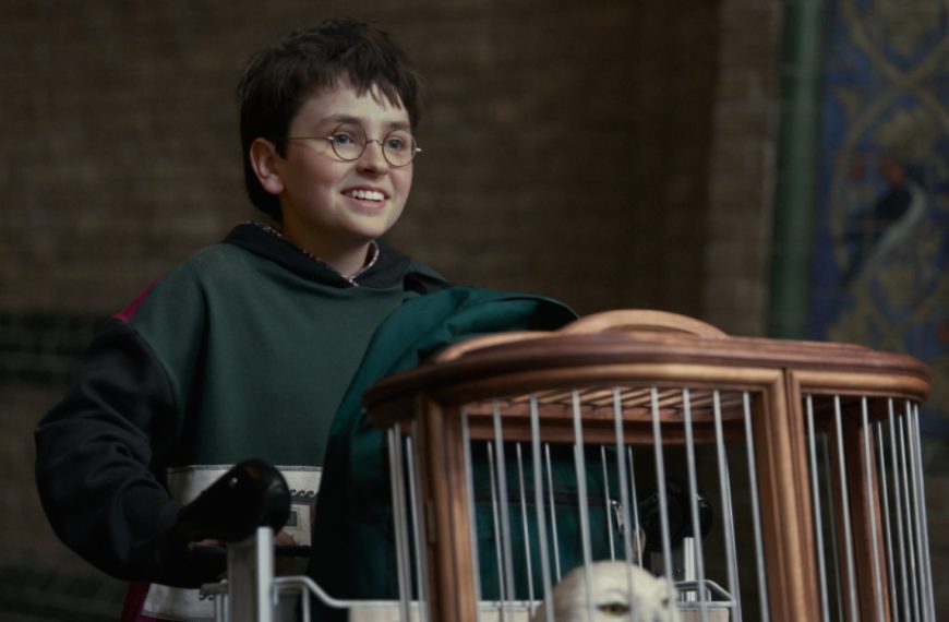 La série Harry Potter n’est pas encore sortie, mais il y a déjà une bonne nouvelle pour les fans