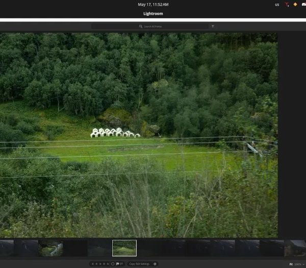Claude a fait tourner Adobe Lightroom CC sous Linux
