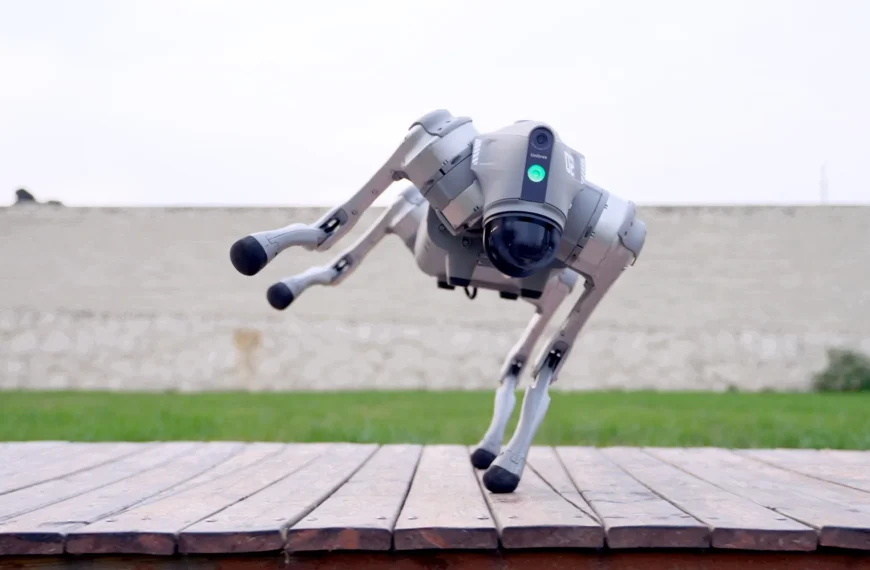 Robots chiens Unitree – La backdoor que personne ne corrige